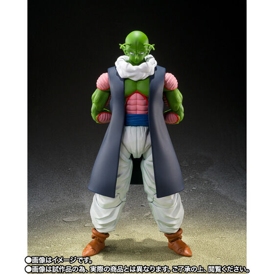 S.H. Figuarts Dragon Ball Z - Nail TamashiWeb Exclusive