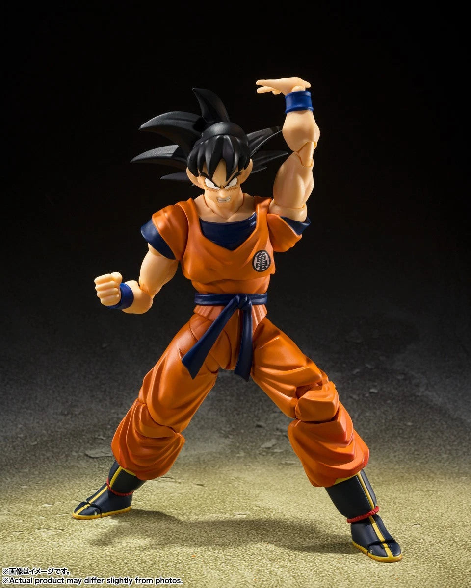Son Goku Lowest Born Saiyan
