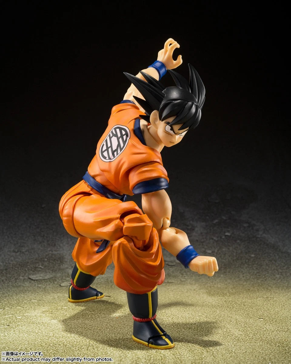 Son Goku Lowest Born Saiyan