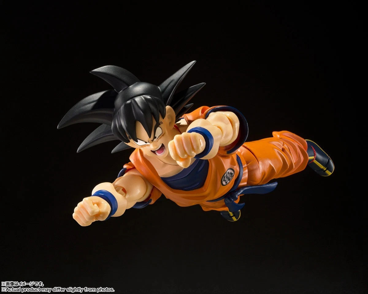 Son Goku Lowest Born Saiyan